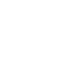 Zani & Rocha